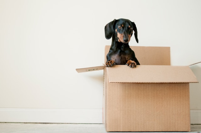 Choosing the Right NYC Movers for a Smooth and Organized Relocation